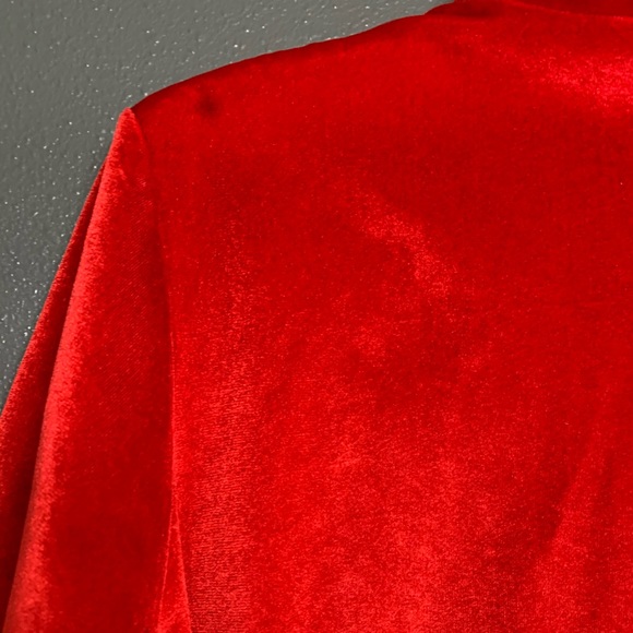 Vintage Velour Robe - Picture 4 of 5